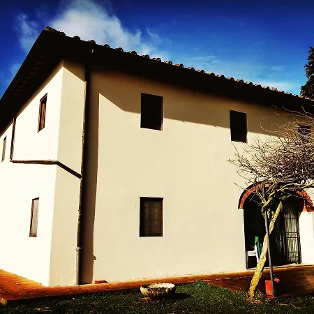 Volpi Nel Chianti * Rignano Sull Arno